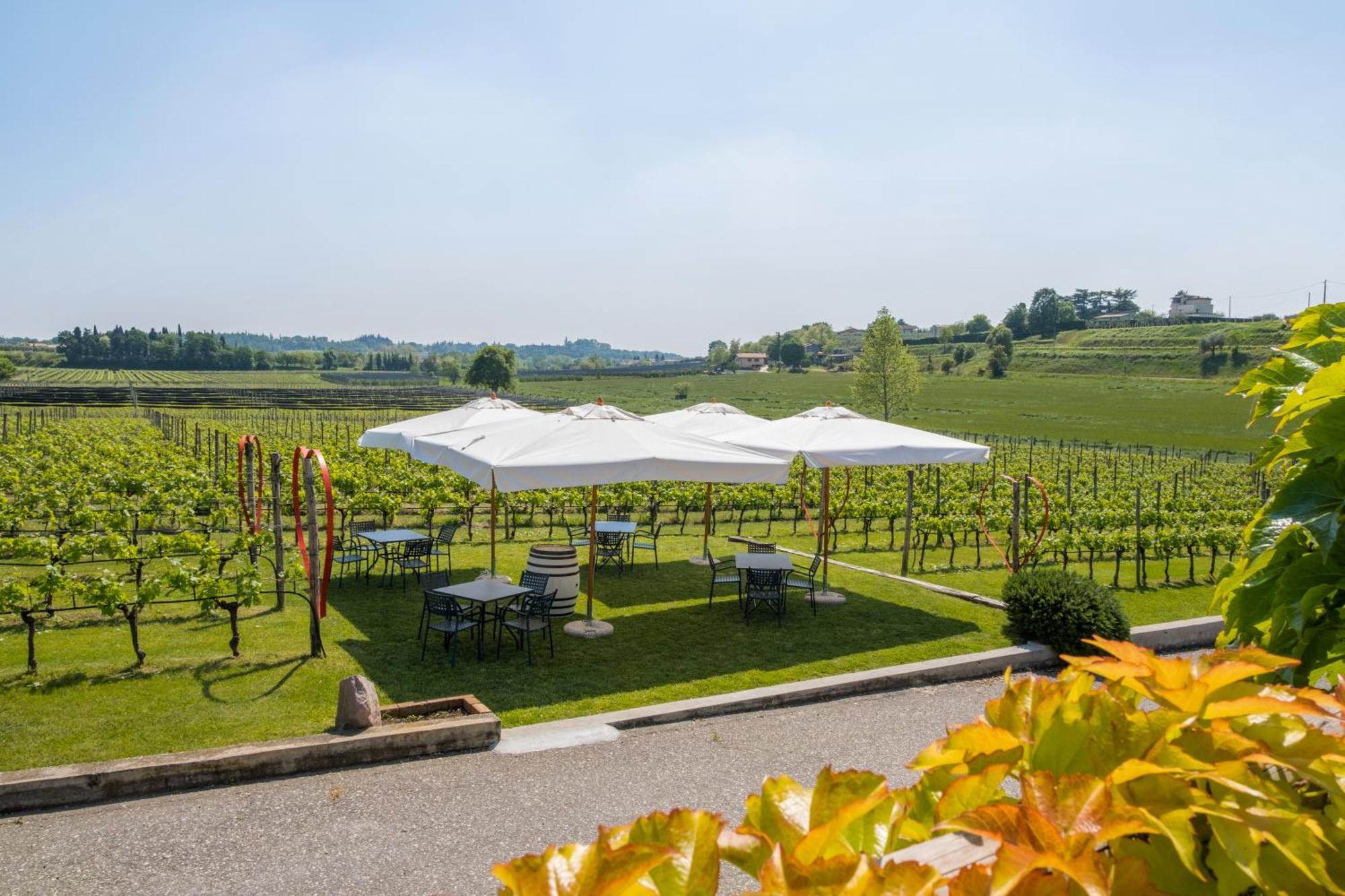 Agriturismo Le Ginestre Lazise Eksteriør bilde